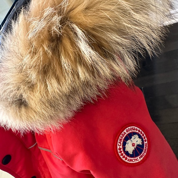 Jacket - Picture 10 of 13